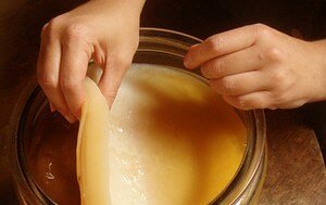 Чайный гриб - полезные свойства, приготовление и уход