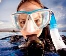 За подводной красотой