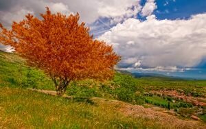 Грас. По следу Парфюмера