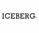 Iceberg