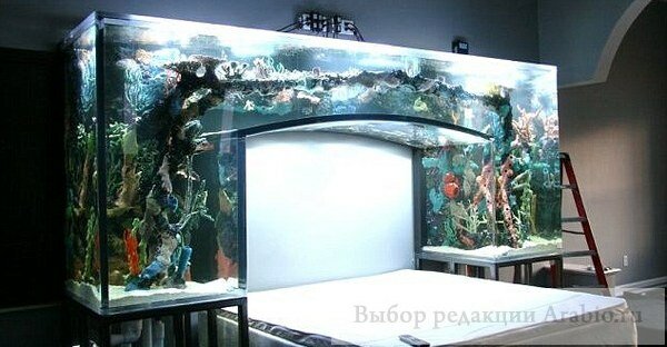 Кровать - аквариум от Acrylic Tank Manufacturers