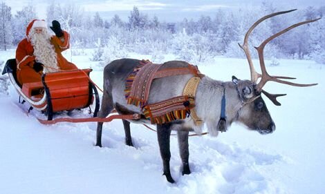 Встречаем Новый год в Лапландии