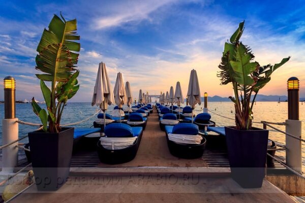 Бар Z-Plage, Канны, Лазурный берег, Франция