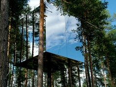Treehotel в Швеции