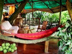 Costa Rica Treehouse