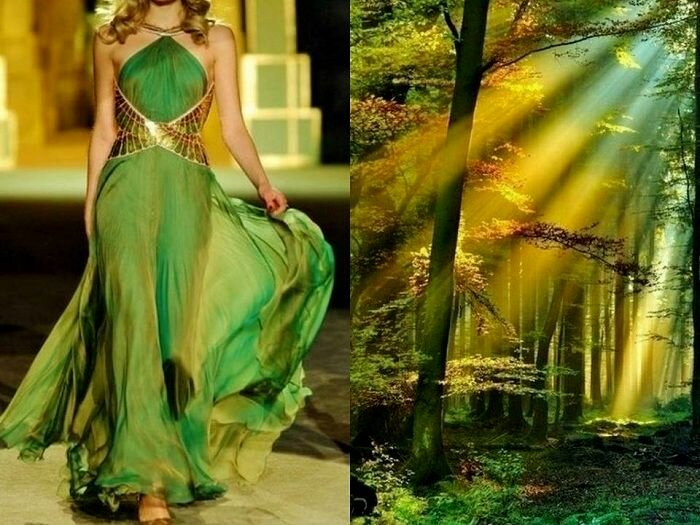 ������� ������� ������ � ������ ���� - Roberto Cavalli